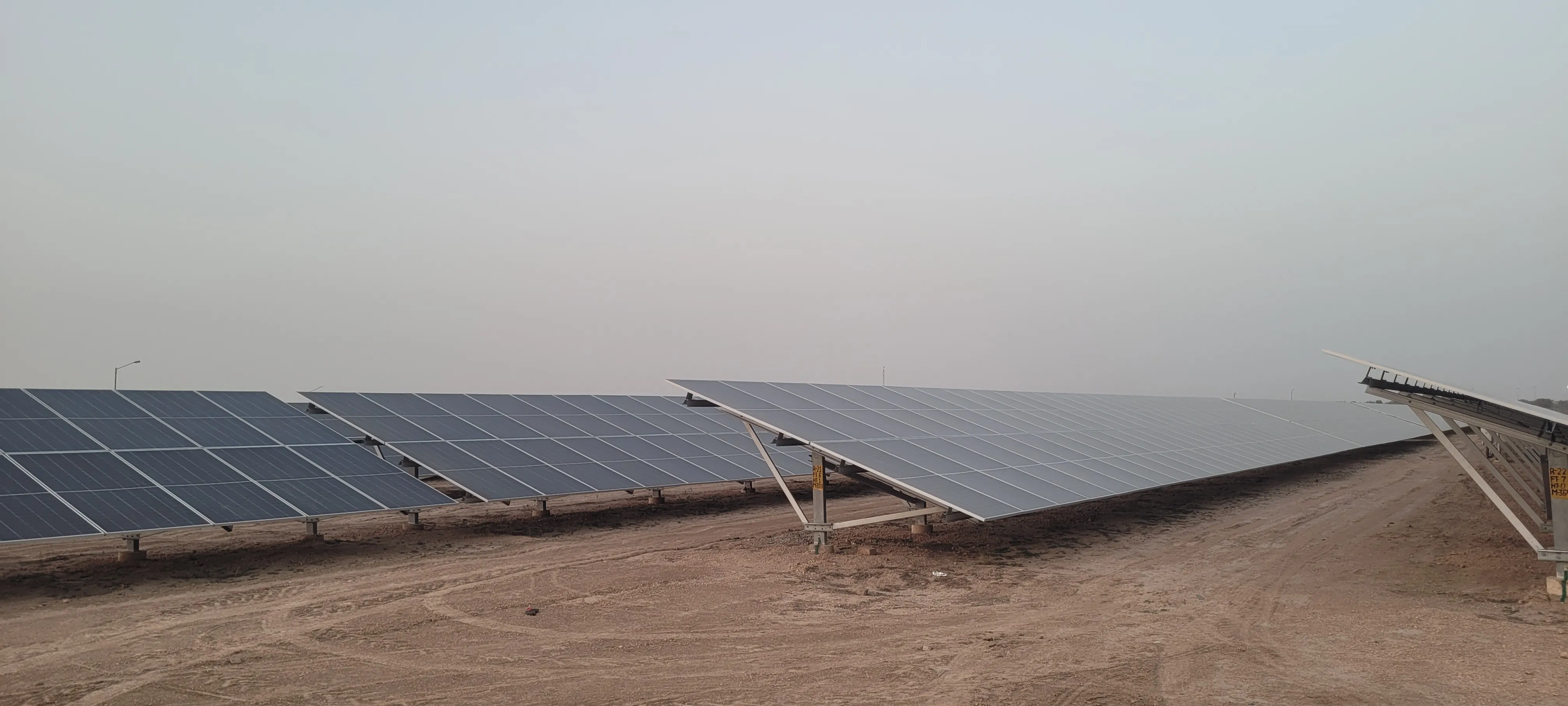 Solar field at dusk in Rajasthan
